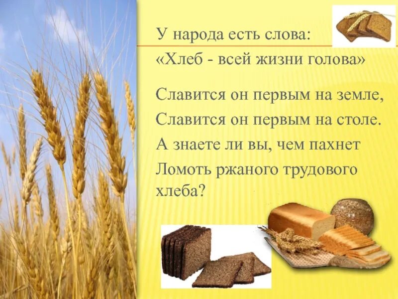 Первый хлеб текст. Хлеб всей жизни голова. У народа есть слова хлеб всей жизни голова. Ломоть хлеба. Слово хлеб.
