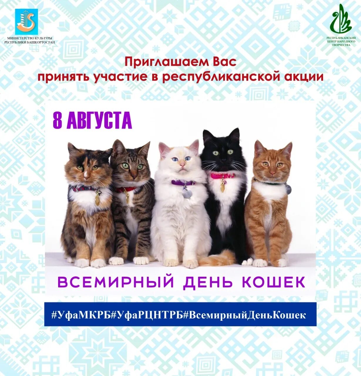 Всемирный день кошек. Всемирный день кошек 8 августа. Всемирный день кошек открытки. Всемирный день кошек 8 августа открытки.