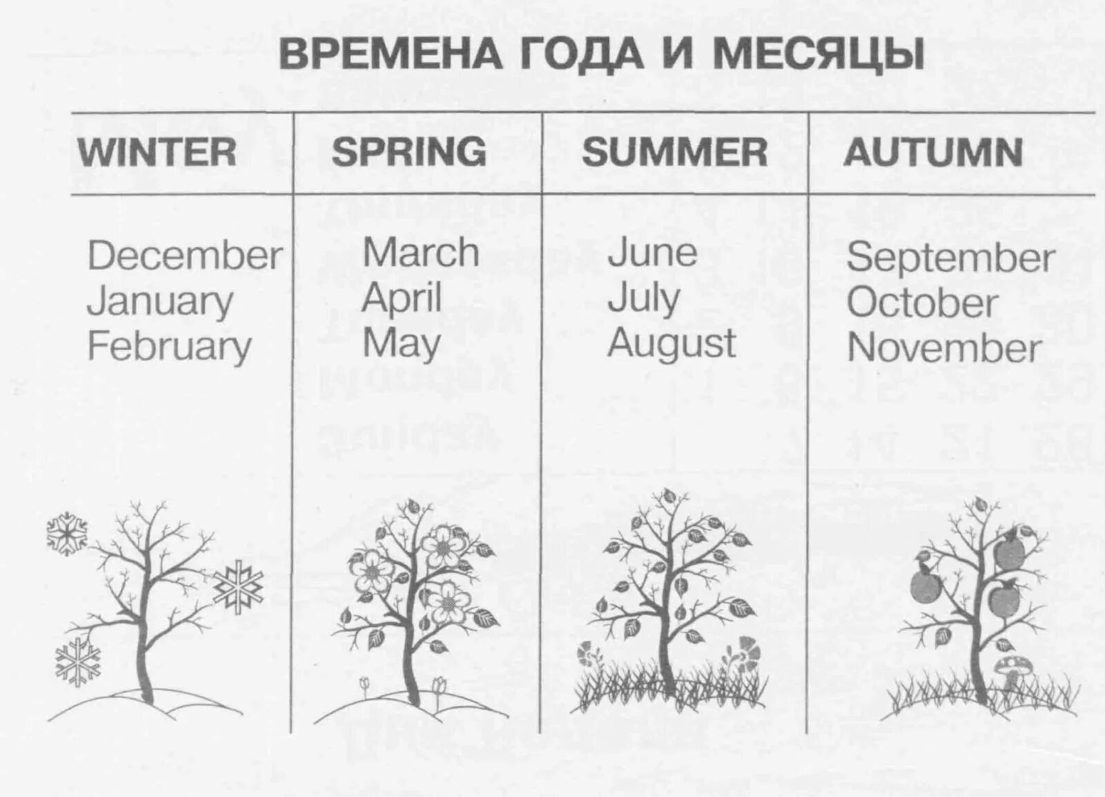 Месяцы по английски по порядку. Времена года и месяцы на английском. Название времен года на английском. Названия месяцев на английском языке. Названия месяцев и времен года на английском языке.