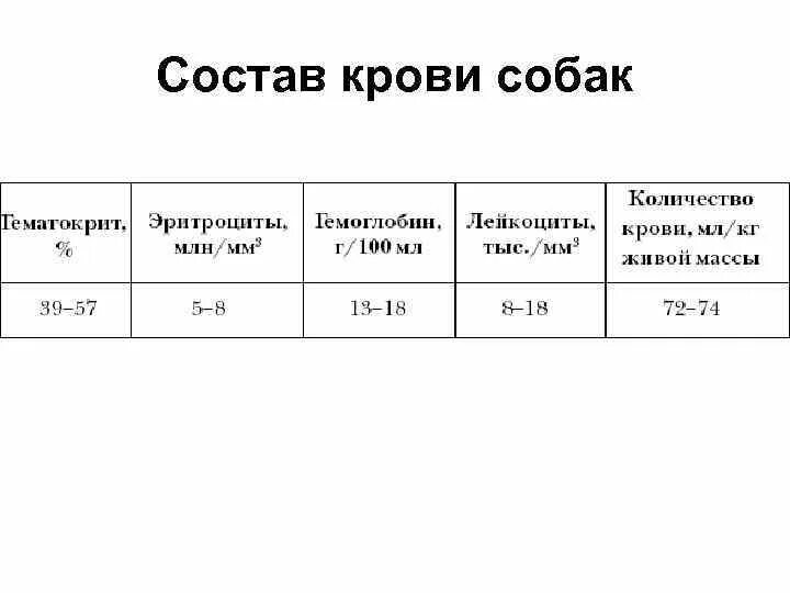 Состав крови собаки. Объем крови у собаки. Сколько крови в собаке. Сколько групп крови у собак.