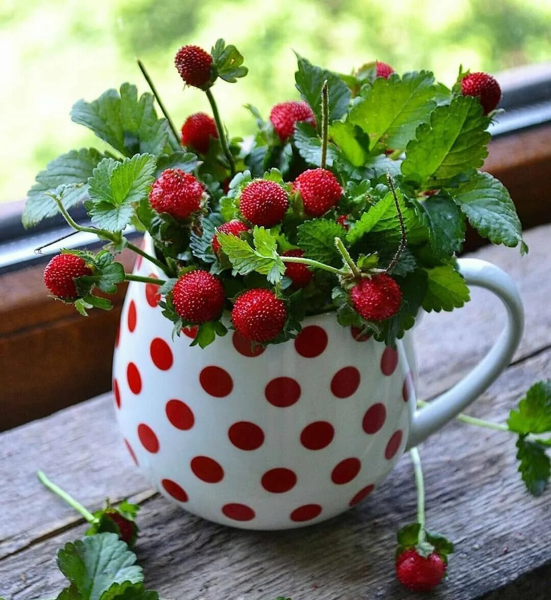 Доброе утро хорошего настроения. Доброе утро и отличного настроения. Доброго утра и отличного настроения на весь день. Летние ягоды.