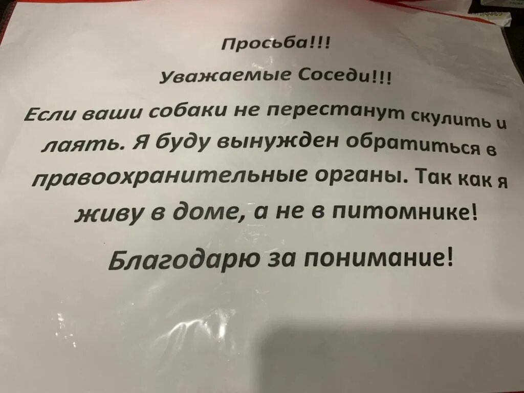 Что делать если мешает соседская. Записка соседям у которых лает собака. Если у соседей лакт Солака. Жалоба на собаку соседей. Записка соседям лает собака по ночам.