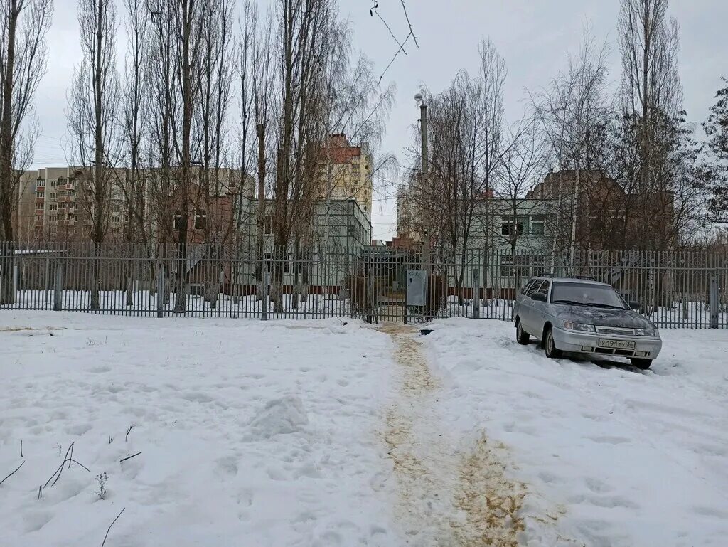 школа интернат 4 воронеж. коррекционной школы интернат воронежская область. интернат воронеж. интернат 7 воронеж. школа-интернат 3 воронеж.