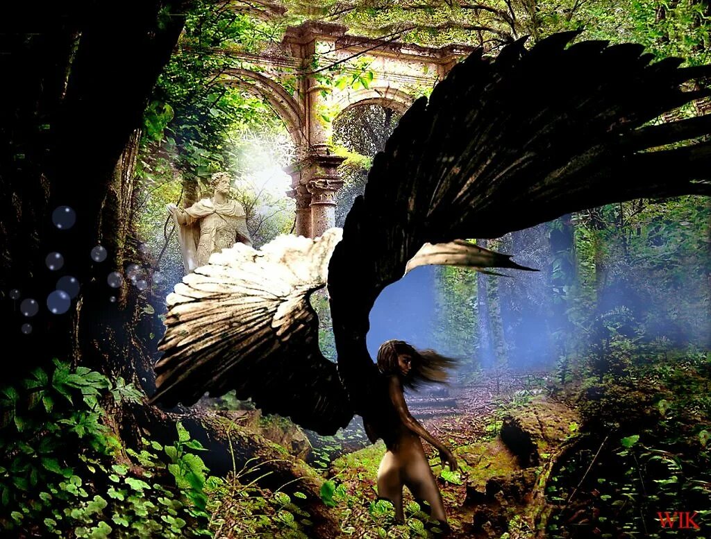 лесной ангел. крылья лесной феи. The angel in the forest. Angel in forest yinller. каменный ангел в лесу.