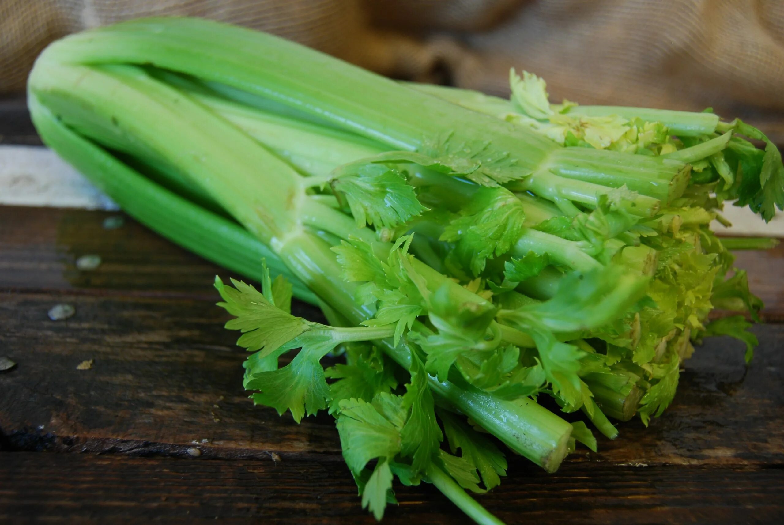 Celery scripts. Сельдерей на столе. celery транскрипция. сельдерей на гриле стебли. н/сельдерей сочный черешковый 500шт (вкуснятино).