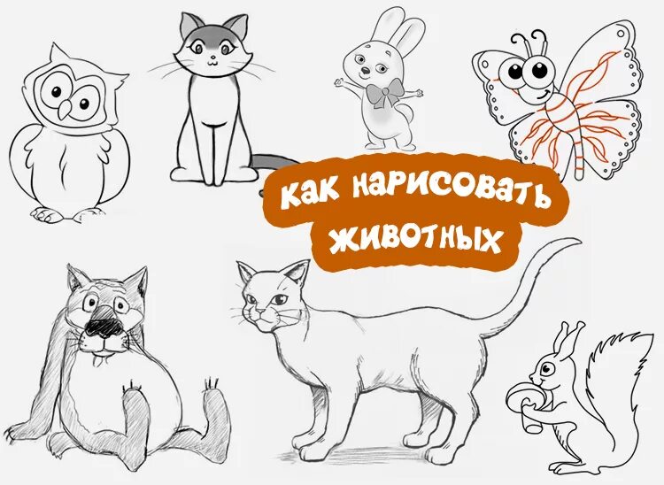Какое животное нарисовать. Рисуем животных. Рисунки домашних животных для срисовки. Домашние животные рисунки для срисовки простые. Как нарисовать зверей.