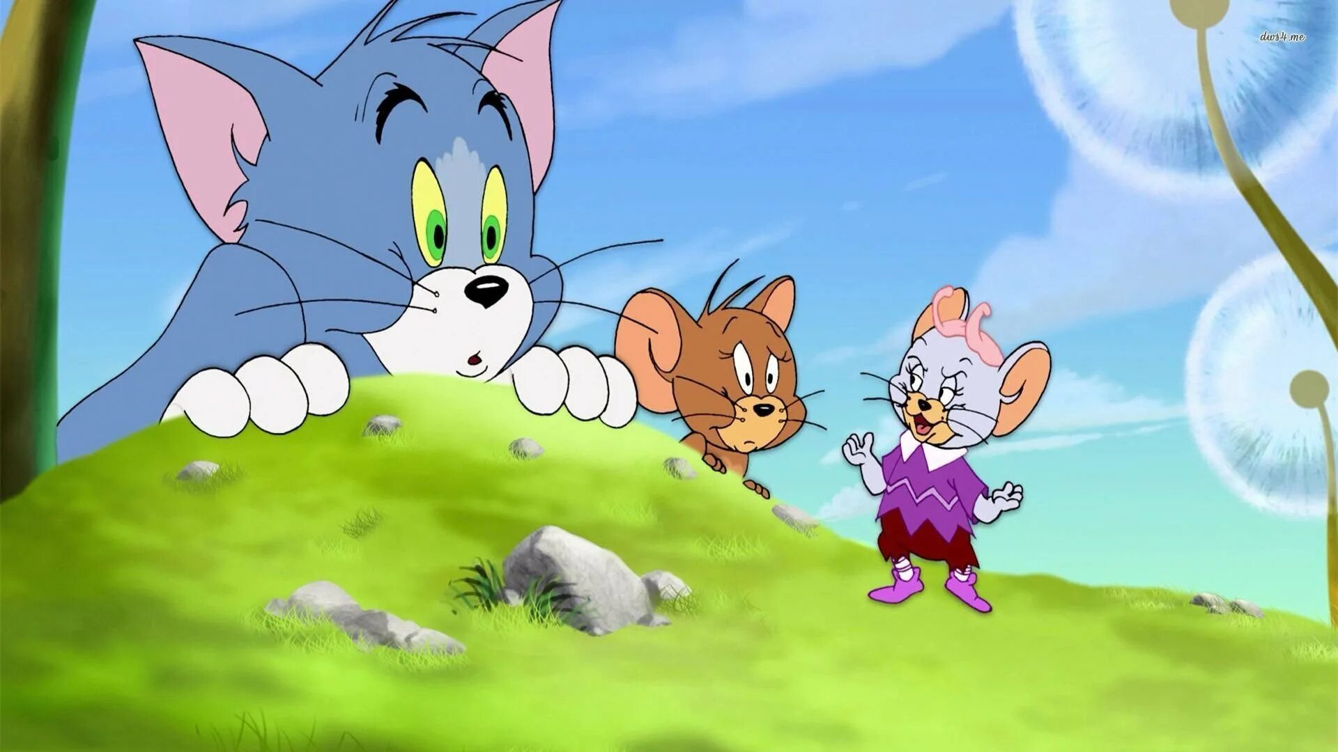 Том и. Tom and Jerry. Джерри мультик. Tom and Jerry Tom. Tom and Jerry cartoon.