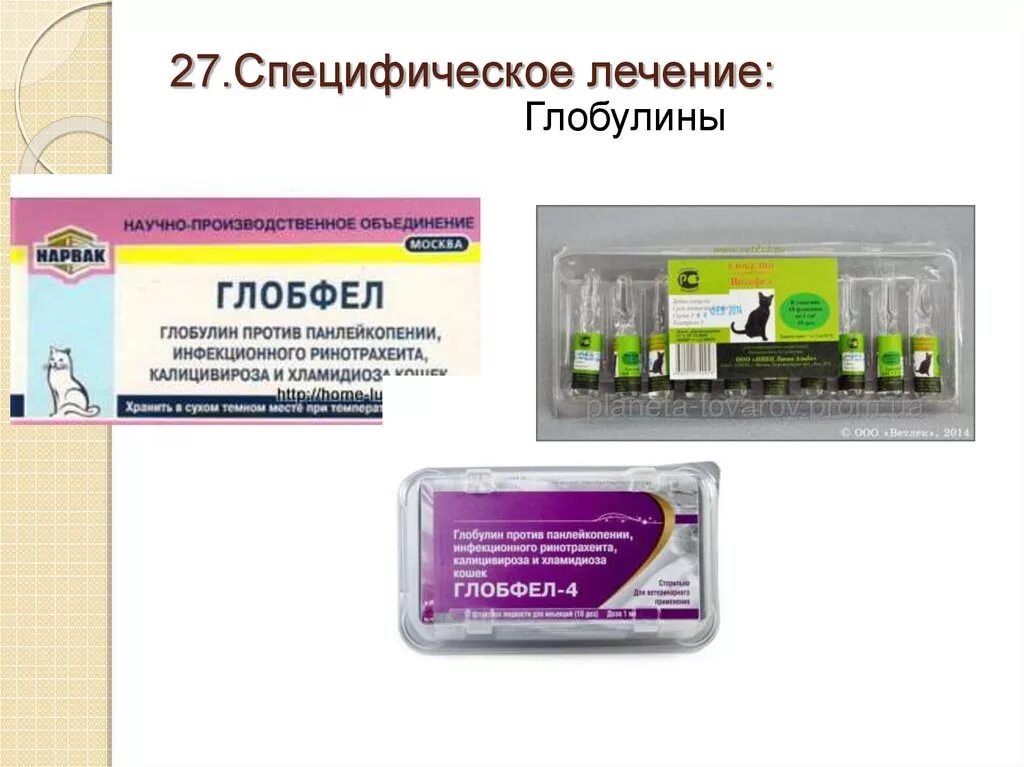 Глобулин кот. Панлейкопения препараты. Схема лечения панлейкопении. Противовирусные таблетки для кошек при ринотрахеите. Панлейкопения иммуноглобулины.