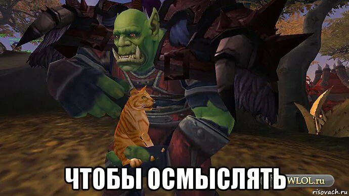 Что значит слово орки. Приличный орк. орк мем. орки мемы. зог орки.