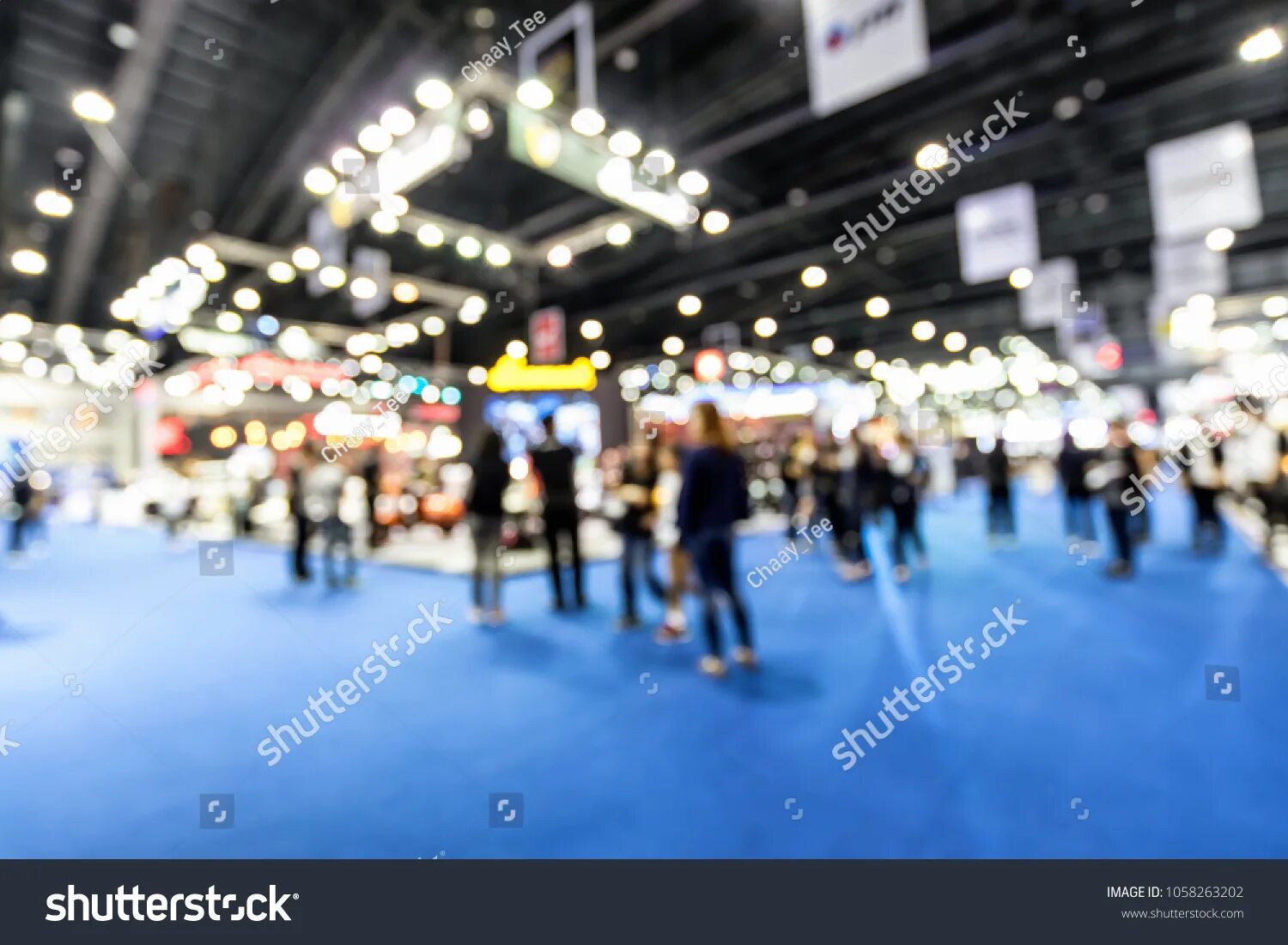 A public event at which pictures or