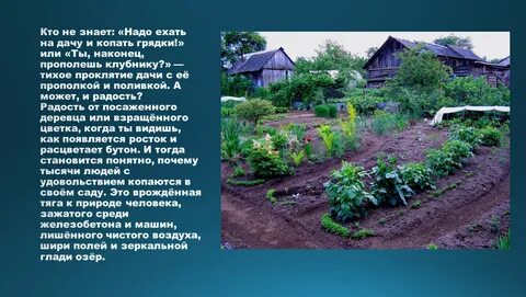 За два дня пропололи 7 9 огорода