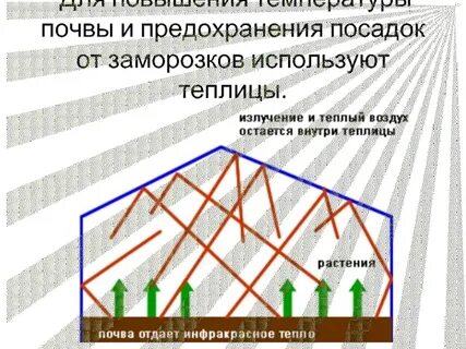 Как работает теплица
