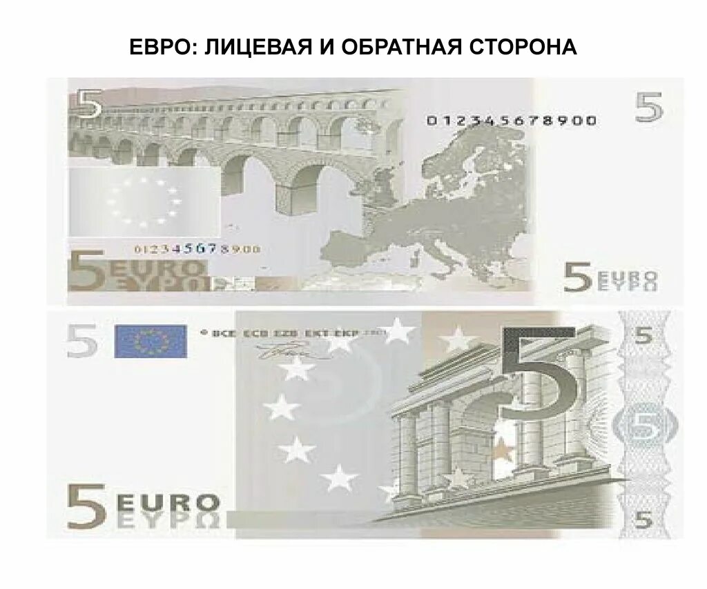 5 Евро купюра. 5 Евро лицевая сторона. Лицевая сторона евро купюры. Лицевая и Обратная сторона евро купюры. Купюра 5 евро