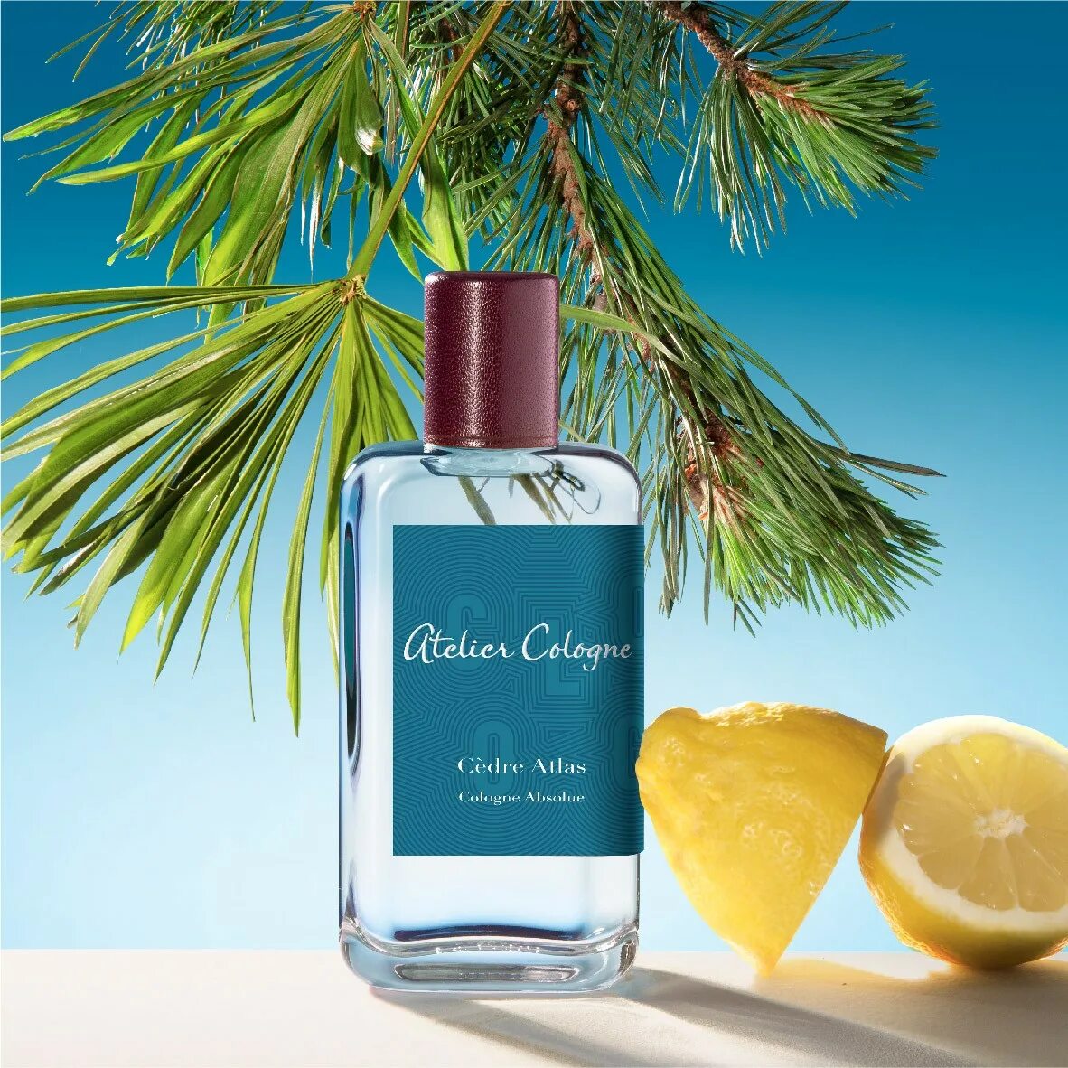 Atlas cologne. Духи atelier cologne cedre atlas. ателье колонь атласский кедр. ательер кедр атлас. атеоье колонт цедре атлас.