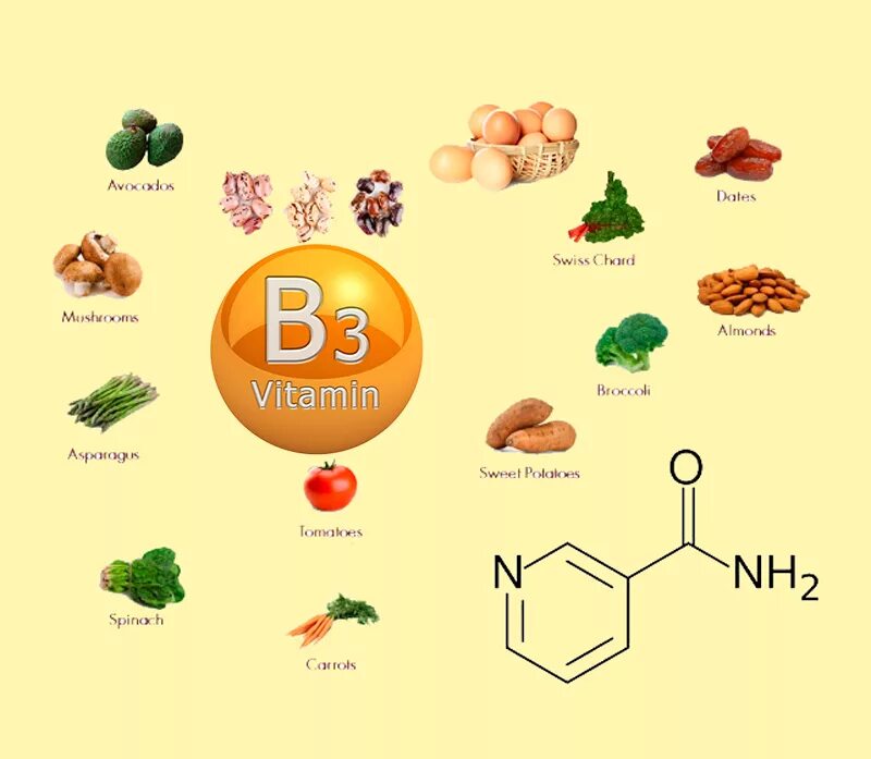 Продукты с витамином в 3. Витамин б3 ниацин. Ниацин витамин в3. Витамины группы б3. Сообщения витамин б3.