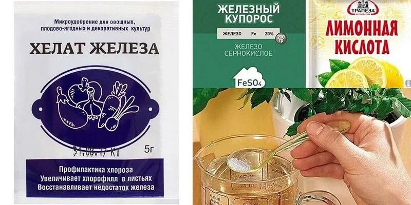 Опрыскивание хелатом железа. Хелат железа удобрение инструкция. хелат железа 30гр. хелат железа для растений. хелат железа это железный купорос.