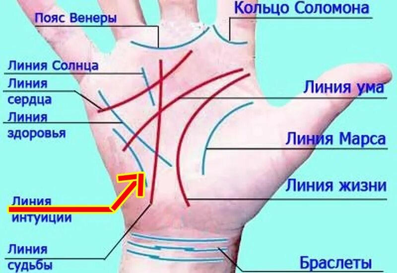 Хиромантия какие линии. Линии на руке. Линии на ладони. Линии на руке значение. Линия интуиции на ладони.