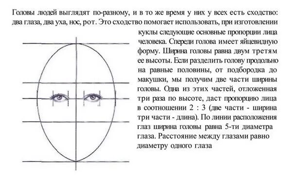 Конструкция головы. Ширина головы человека пропорции. Пропорции лица. Пропорции лица глаза.