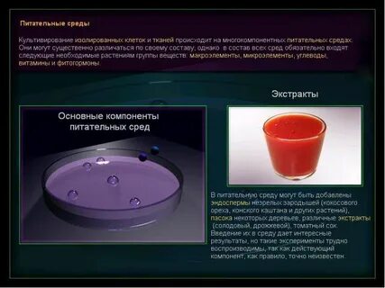 Сложный опыт