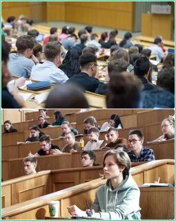 Студент бюджетник