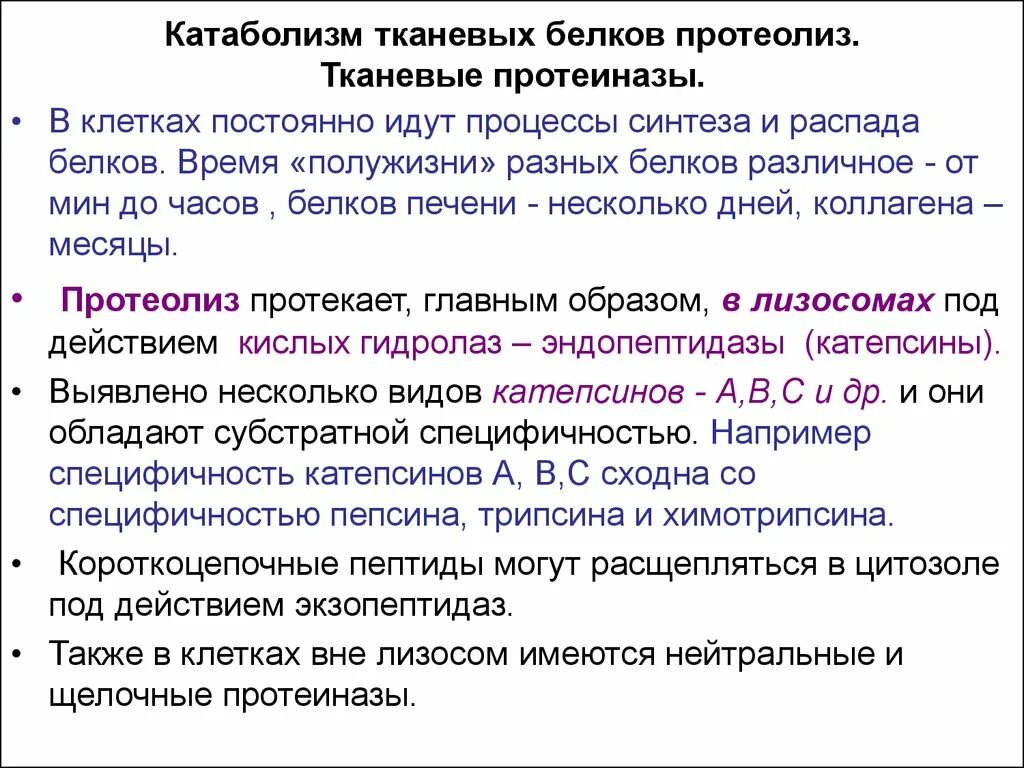 Время белкового. Тканевой распад белков биохимия. Внутриклеточный протеолиз белков. Распад белков в тканях с участием протеасом и катепсинов биохимия. Тканевой распад белков схема.