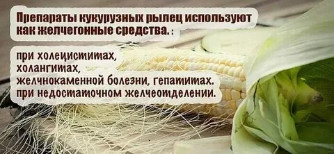 Чем полезны рыльца