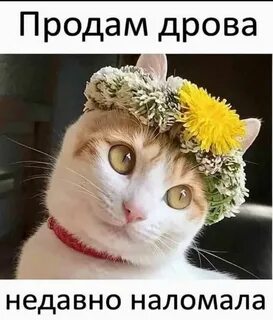 Продам дрова недавно наломала