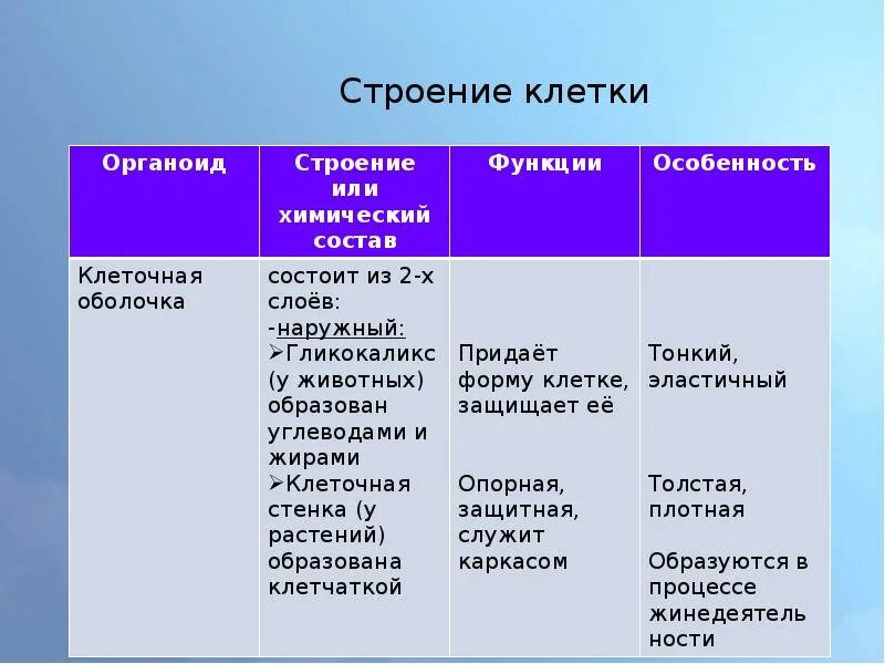 Клеточная оболочка строение и функции. Особенности строения оболочки клетки. Мембрана особенности строения и функции. Особенности строения клеточной мембраны.