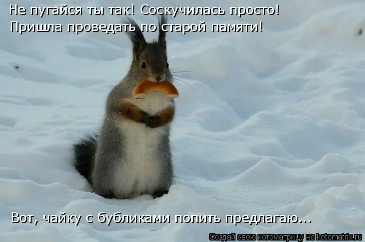 у меня лицо винтажное. приколы про бросание курить. старые смешные мемы. обжегшись однажды. приколы про молодость.