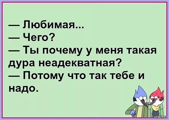 Отдал смех. Смех юмор. так тебе и надо. лента по интересам юмор. почему ты у меня такая неадекватная потому что так тебе и надо.