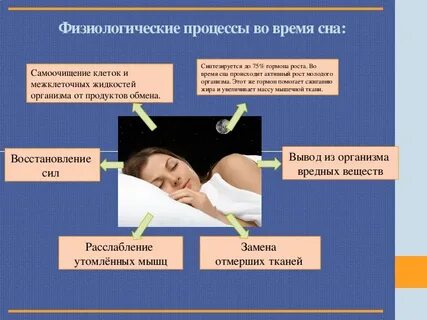 Физиологическое время связано