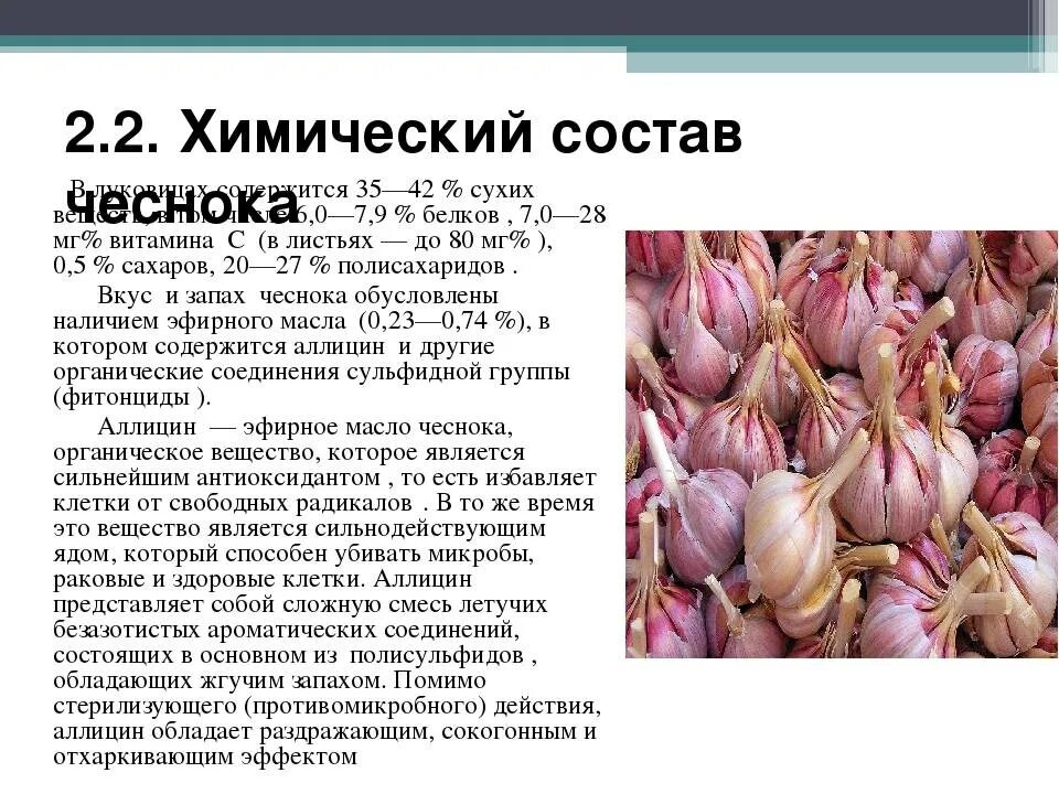 Можно ли чеснок при температуре. Химический состав чеснока. состав чеснока. питательные вещества чеснока. чеснок витаминный состав.