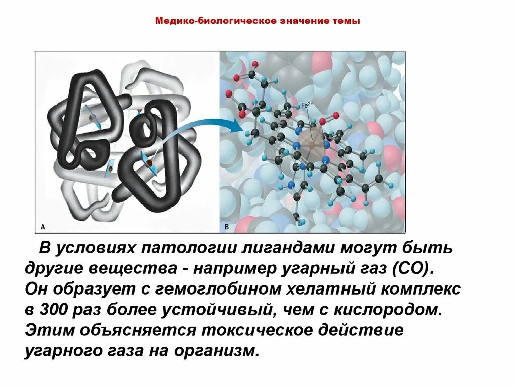 Биологическое значение включений. Медико биологическое значение. медико биологическое значение комплексных соединений. комплексные соединения в организме человека. медико биологическое значение железа.