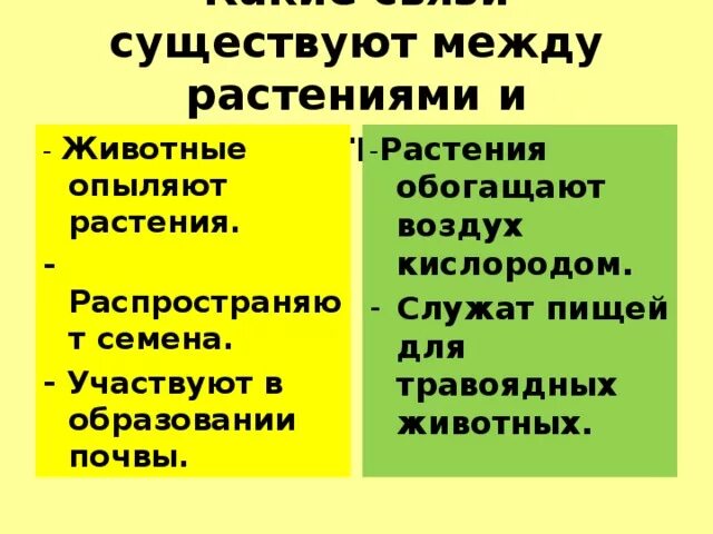 Какая связь существует между людьми. Какие связи между животными и растениями 3 класс. Взаимодействие между растениями и животными. Взаимосвязь между растениями и животными. Взаимосвязь между растениями.