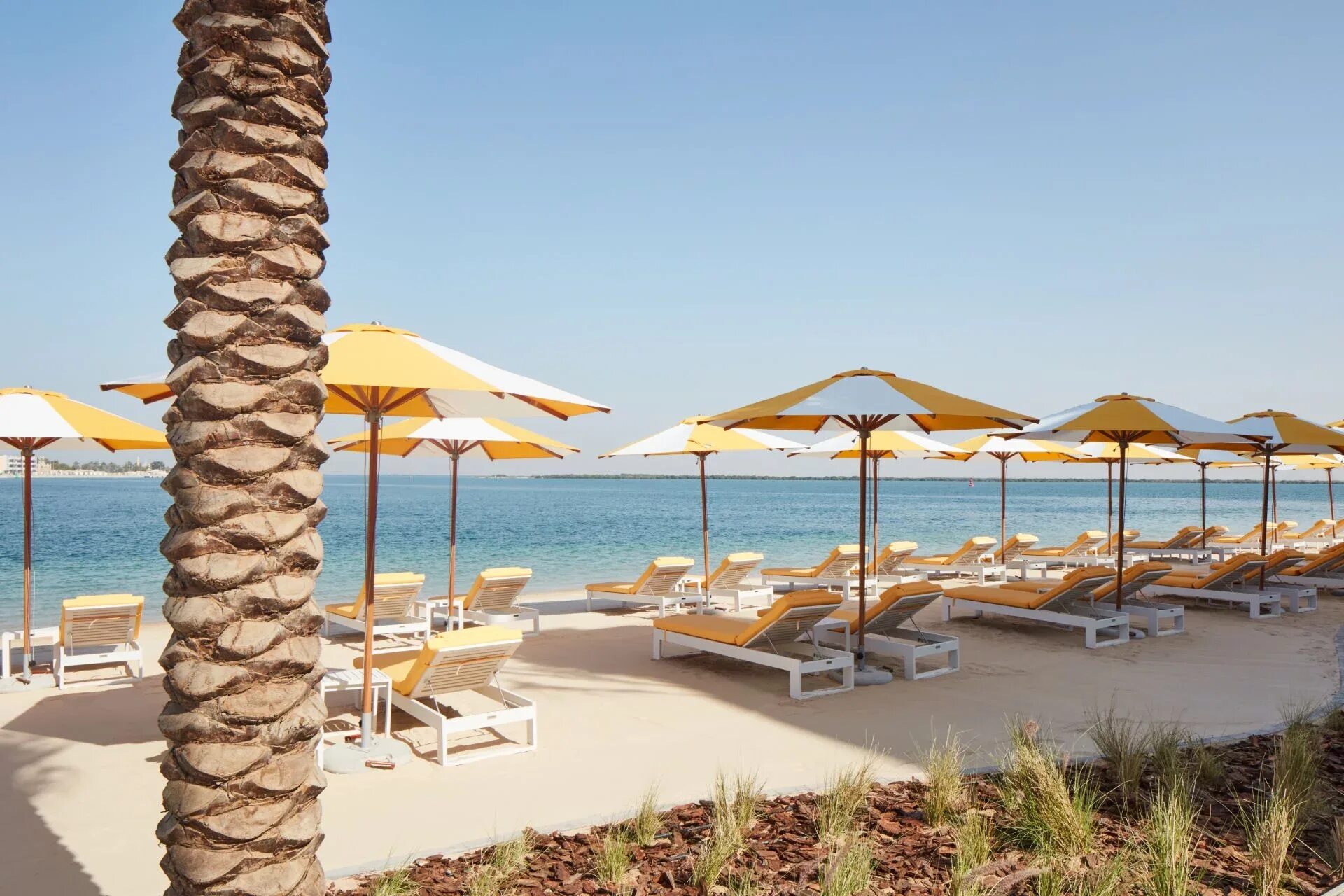 Vida beach resort 5. Vida Beach Resort Umm al Quwain 4* Умм Аль Кувейн. Отель vida Beach Resort Umm al Quwain 5*. Умм Эль Кувейн ОАЭ. Vida Beach Resort Umm al Quwain 4* фото.