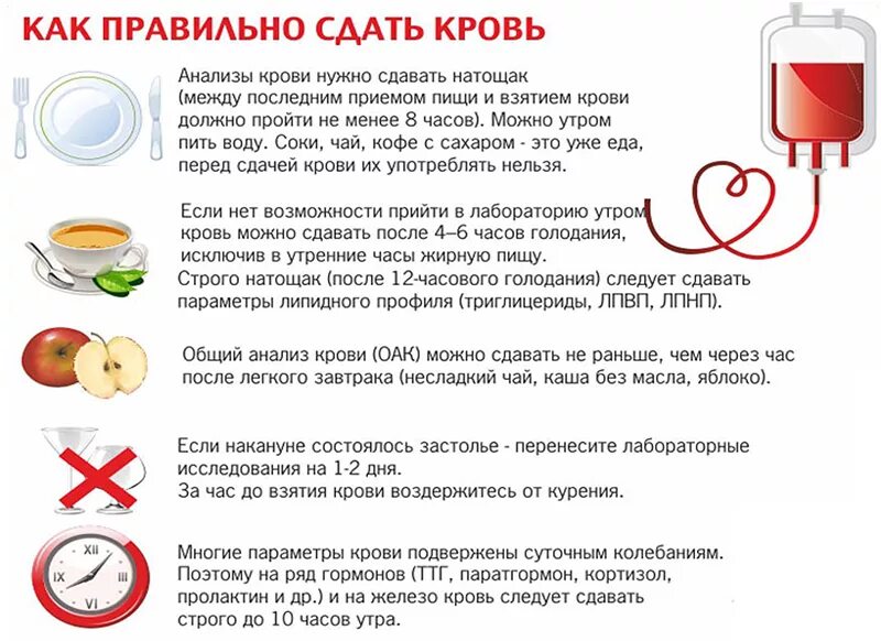 Перед сдачей крови на анализ. Перед сдачей общего анализа крови нельзя. Что нельзя есть перед сдачей анализа крови. Что можно кушать перед сдачей крови на анализы.