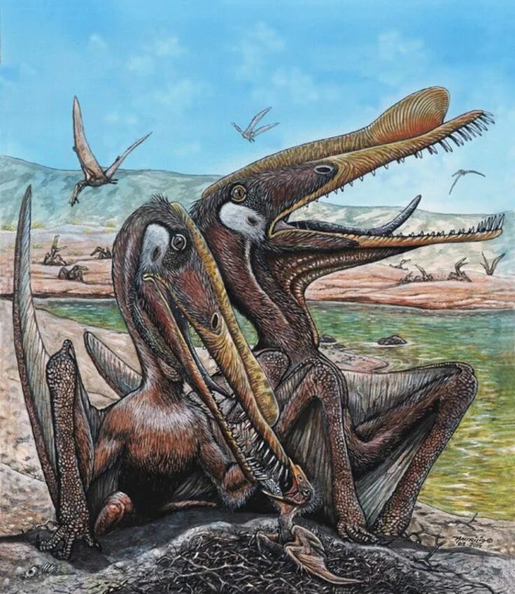 Why did a prehistoric reptile