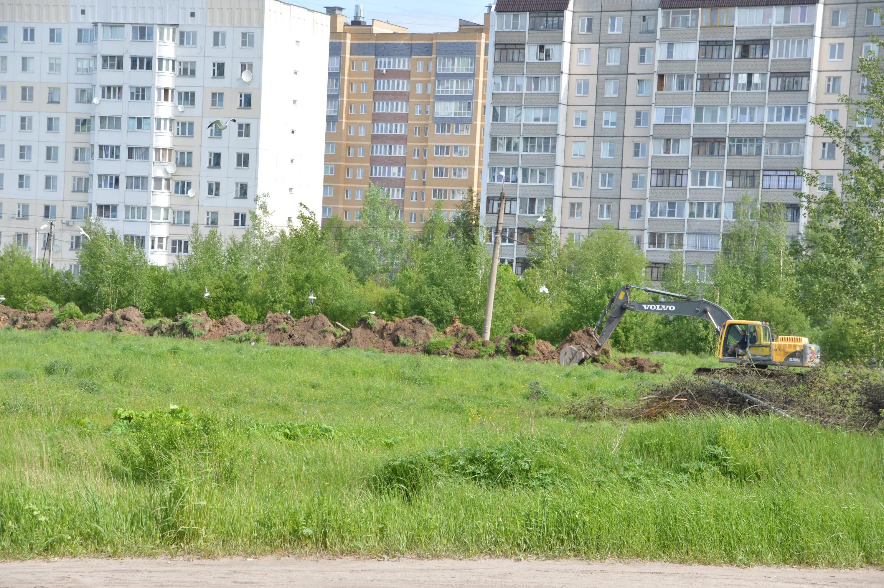 Крошки тверь. Южный парк Тверь. Мкрн Южный Твери. Парк микрорайон Южный Тверь. Ландшафтный парк Тверь Южный.