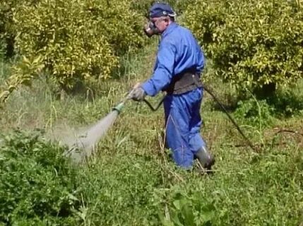 Удали растительное