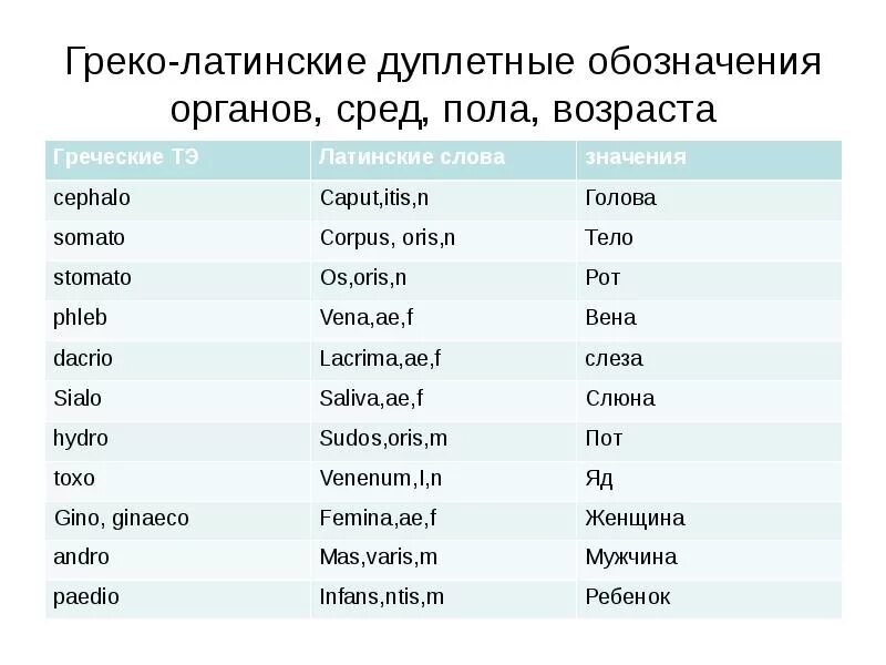 Термины элементы в латинском языке. Греко-латинские дублеты обозначающие части тела органы ткани. Греко латинские дублеты. Основные понятия на латыни.