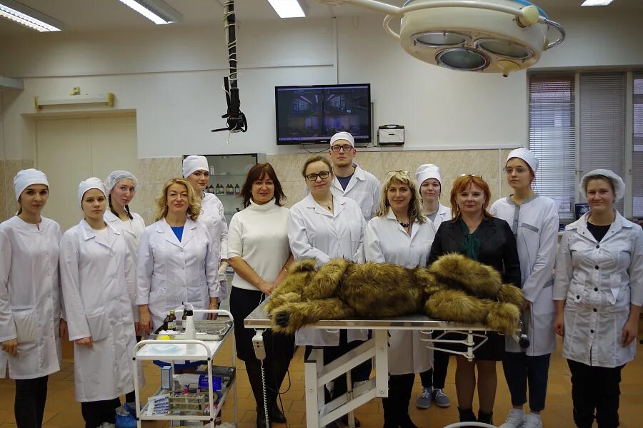 факультет ветеринарии