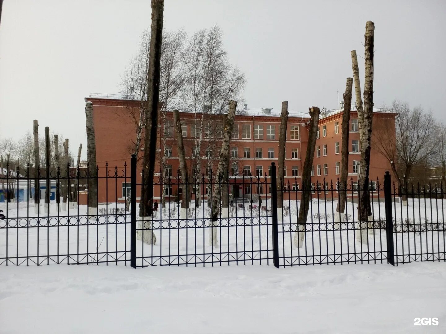 Школа 14 пермь. Гимназия 1 пермь. школа 49 пермь. гимназия 1 пермь леонова 14. школа 2 пермь.