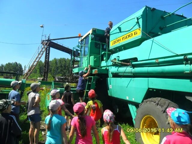 Спк северный. Спк северный. Спк киров кафе. Спк северный. Спк северный.