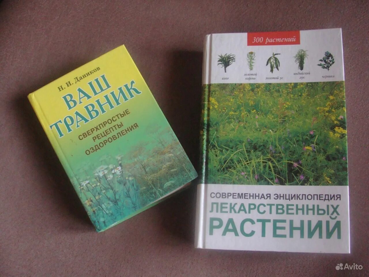 Энциклоп дист