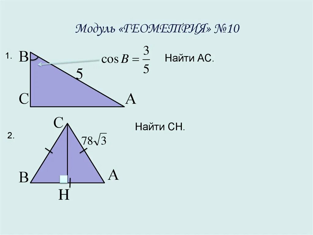 Где находится сн. Где находится сн