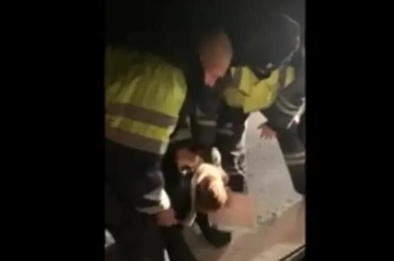 Авария в зверево ростовской области. Избиение сотрудника дпс. Дпс избили. Избиение девушки в питере. Дпс избили.