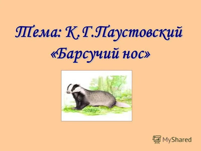 Барсучий нос паустовский тема