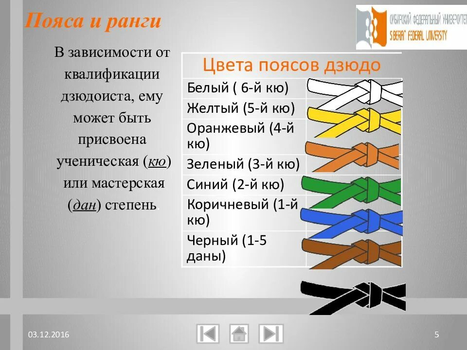 Цвета дзюдо. Пояса дзюдо по порядку цвета. классификация поясов в дзюдо в россии. пояса и ранги в дзюдо. очерёдность поясов в дзюдо.