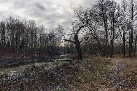 Есть время поздней осени