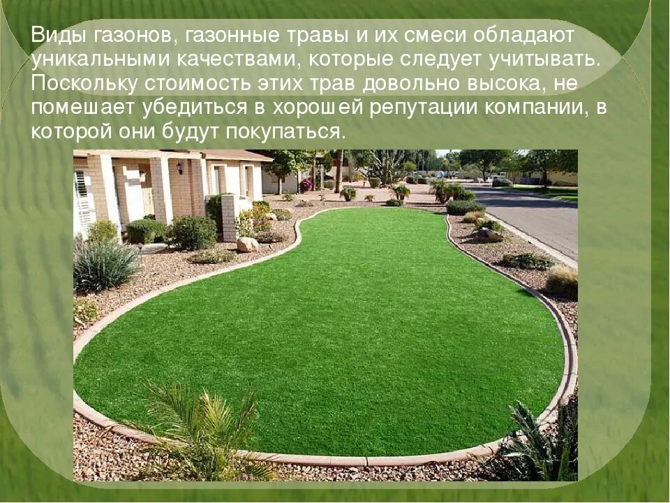 Рулонный газон на участке. Фестулолиум трава для газона. Описание газона. Искусственный газон. Описание газона.